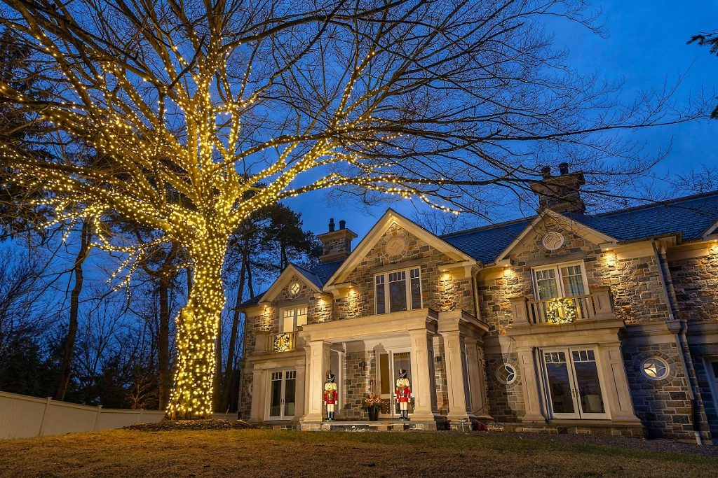 Tree Lighting