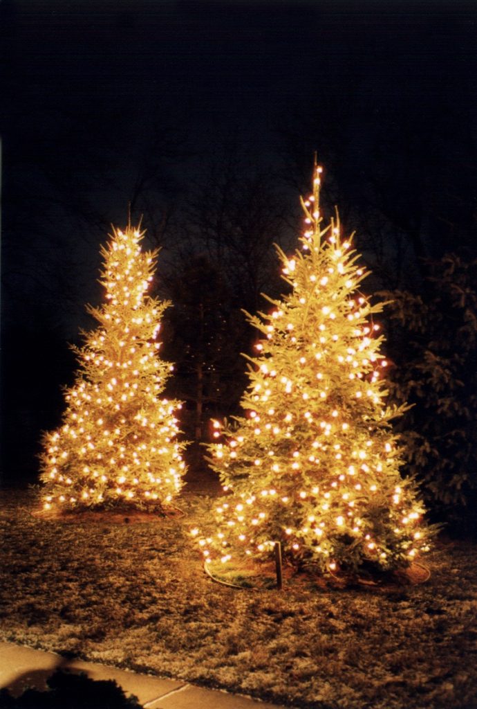 Tree Lighting